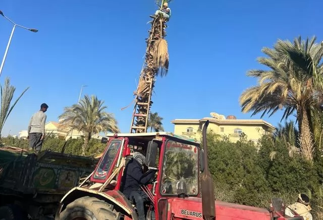 رئيس جهاز الشروق يكشف عن أحدث أعمال الزراعة فى المدينة.. بالصور