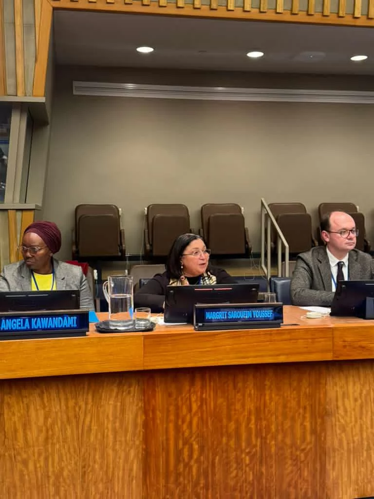 نائبة وزيرة التضامن تستعرض تجربة مصر في الحماية الاجتماعية