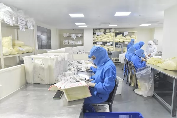 وفد الاتحاد الأوروبي بتفقد مصنع رائد للمستلزمات الطبية بأسيوط