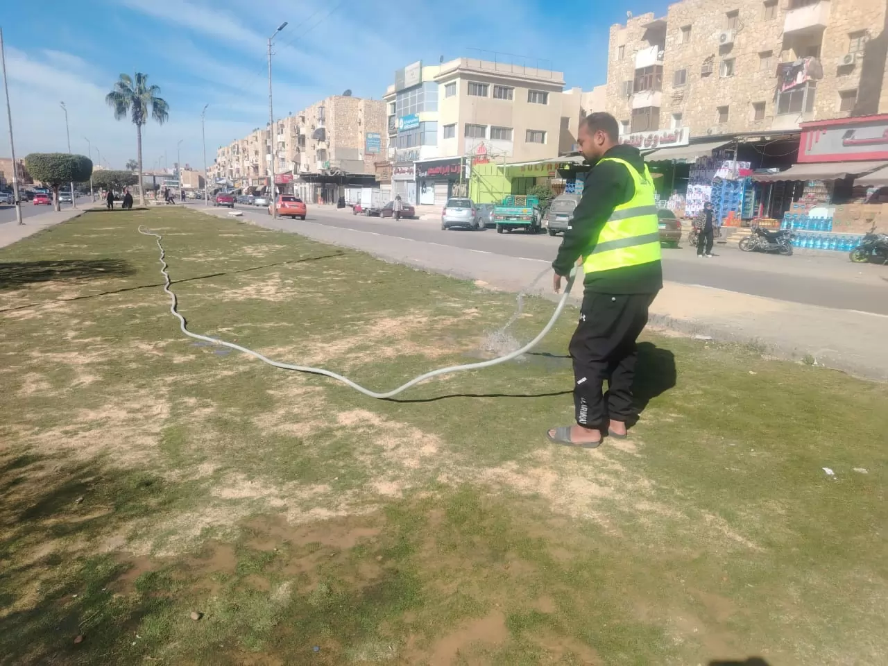 رفع كفاءة المسطحات الخضراء بالإسماعيلية..صور