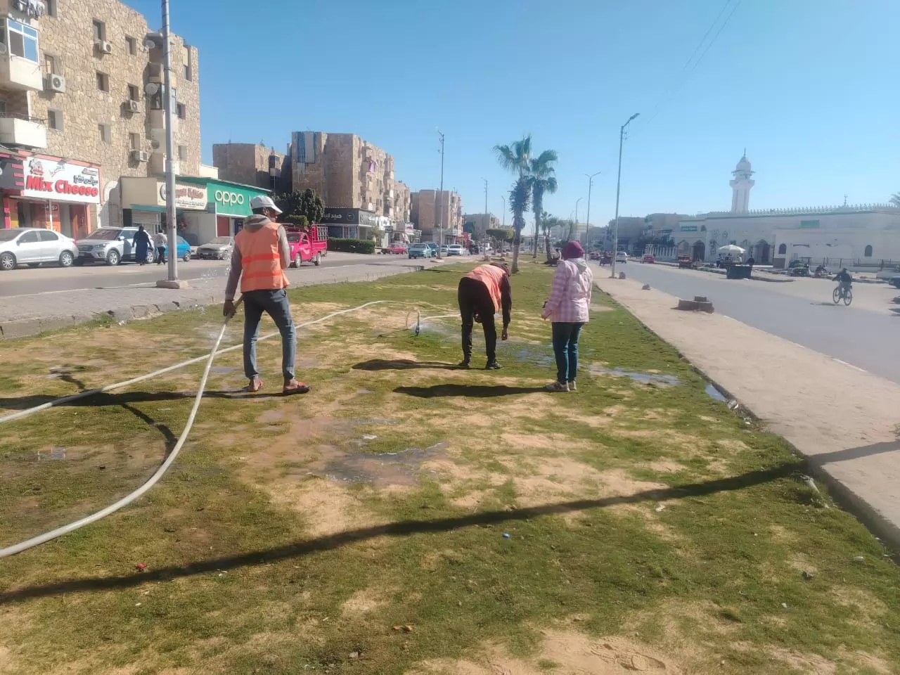 رفع كفاءة المسطحات الخضراء بالإسماعيلية..صور