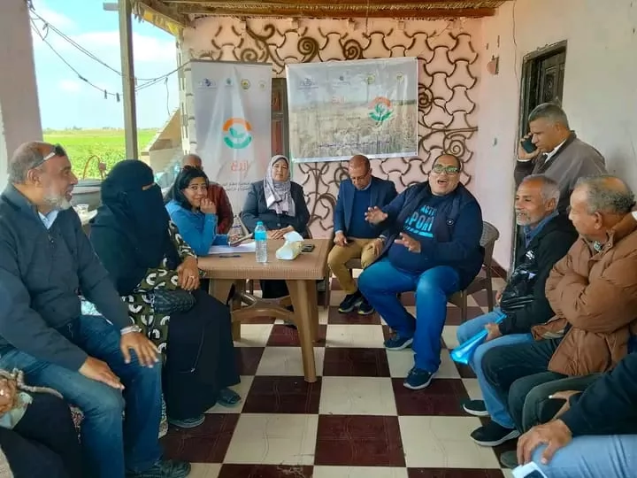 مدرسة حقلية لمزارعي القمح في الإسماعيلية..صور