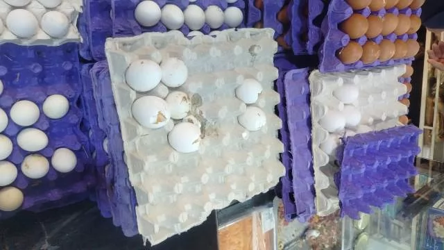 جهاز مدينة بدر وهيئة سلامة الغذاء يضبطان 28 كيلو أغذية فاسدة.. صو