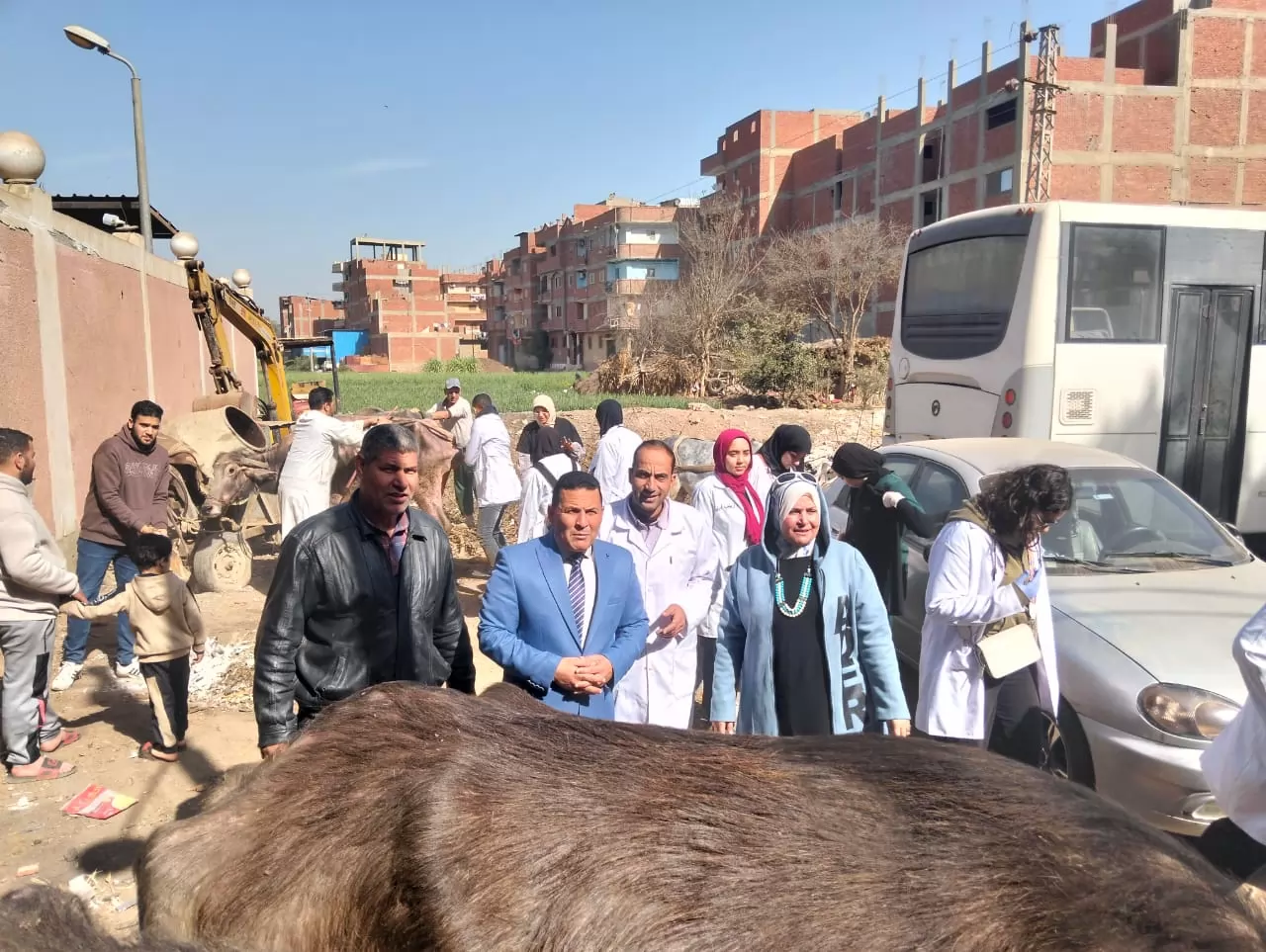 عميد الطب البيطري بالسادات يترأس قافلةبيطرية موسعة بقرية المصيلحة