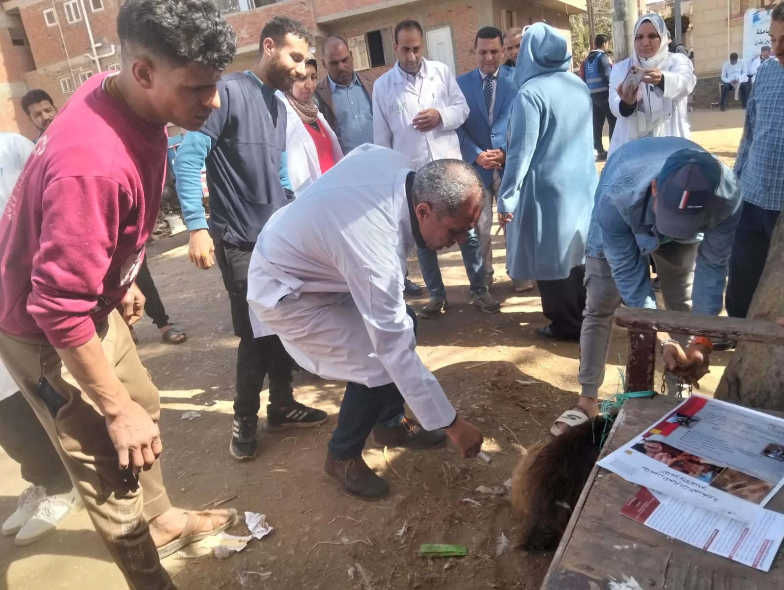 عميد الطب البيطري بالسادات يترأس قافلةبيطرية موسعة بقرية المصيلحة