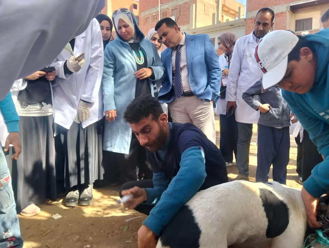 عميد الطب البيطري بالسادات يترأس قافلةبيطرية موسعة بقرية المصيلحة