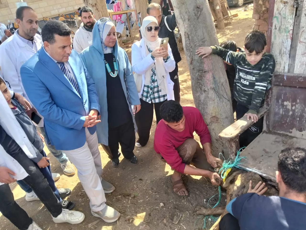 عميد الطب البيطري بالسادات يترأس قافلةبيطرية موسعة بقرية المصيلحة