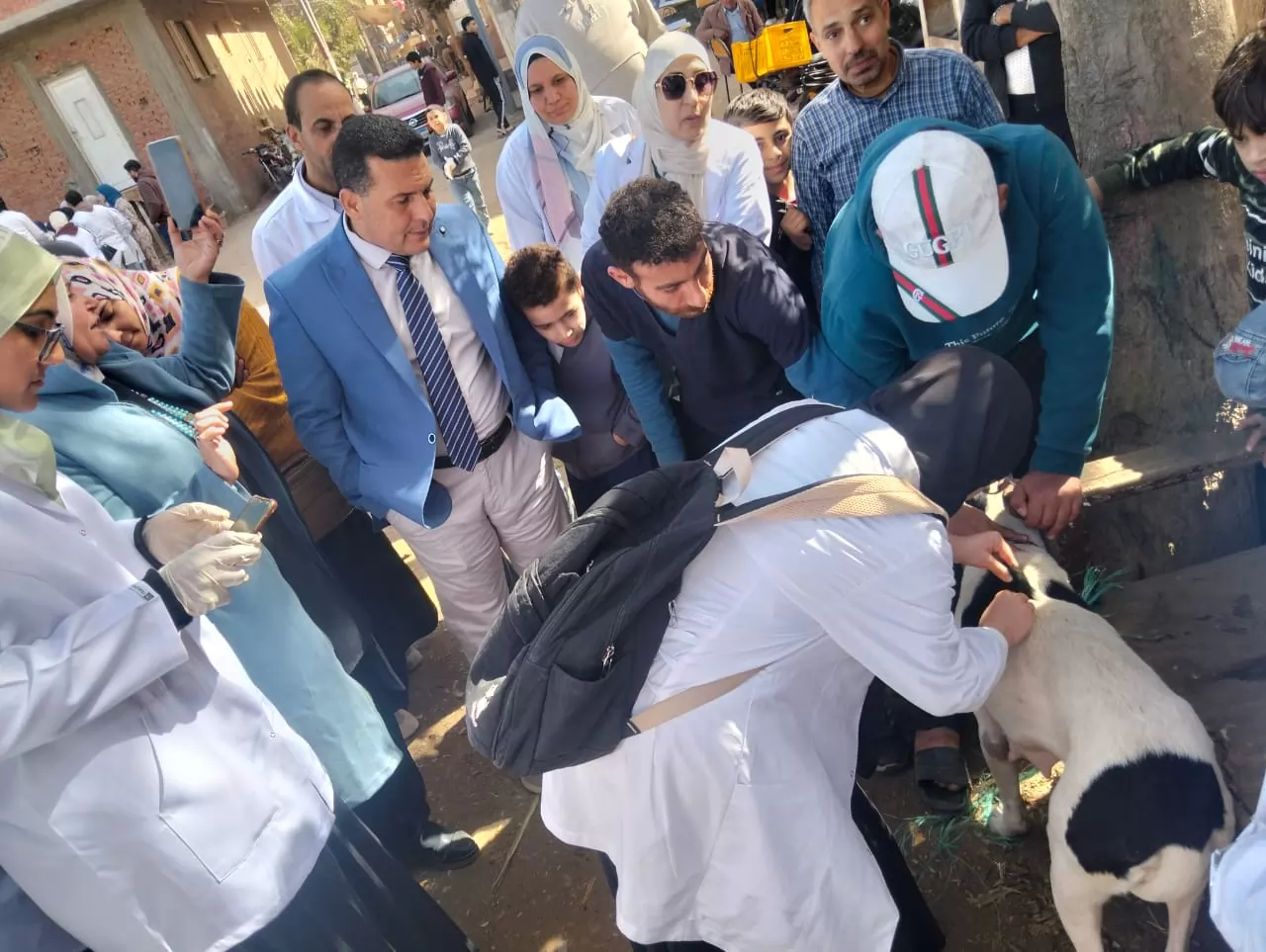 عميد الطب البيطري بالسادات يترأس قافلةبيطرية موسعة بقرية المصيلحة