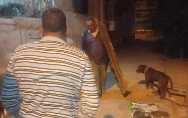 حملة ليلية خاطفة من جهاز مدينة بدر على إشغالات الزهور والريحان.. 