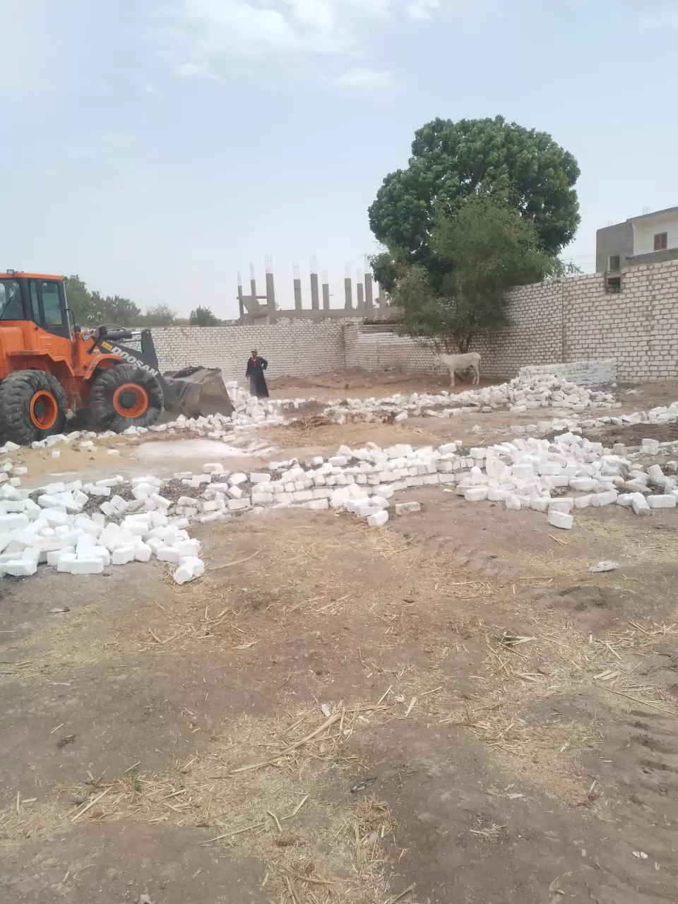 إزالة حالتى تعد على أراضى أملاك الدولة بالمحاميد جنوب غرب الأقصر 