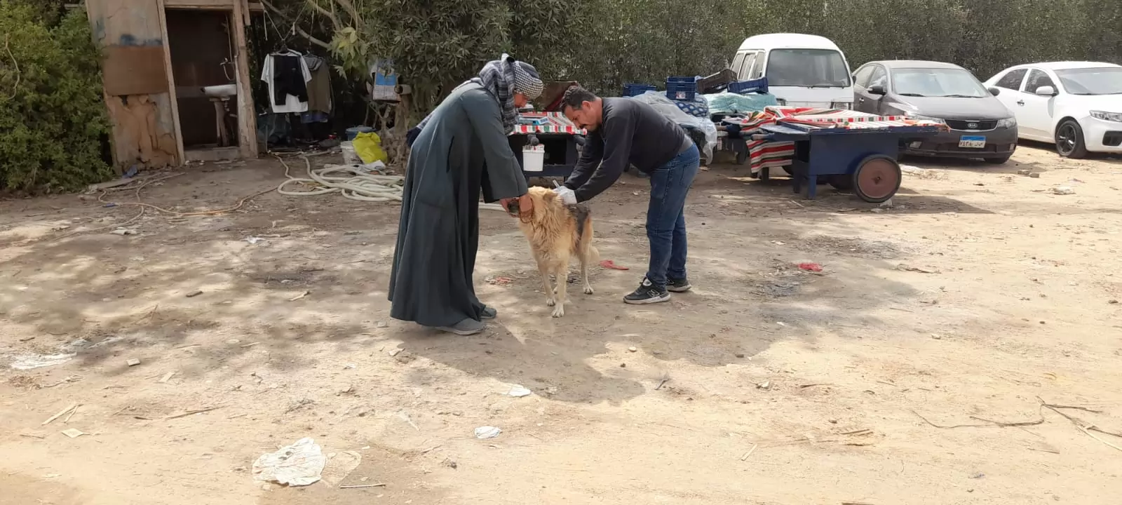 حملة مكثفة لتحصين الكلاب من السعار بأكتوبر .. صور