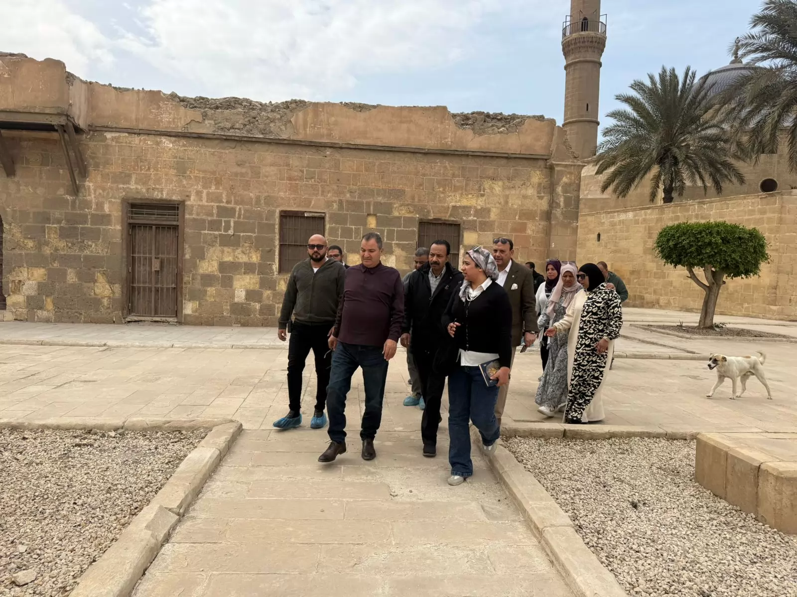 أمين 