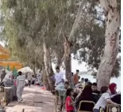 المصريون يصنعون البهجة رغم التحديات ولمّة الأسرة تتصدر المشهد