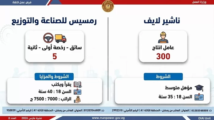 وزارة العمل تعلن عن 2289 فرصة عمل جديدة في 34 شركة قطاع خاص