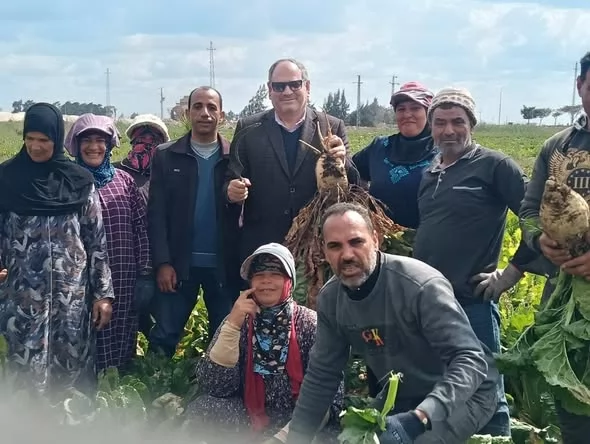 البحوث الزراعية تفتتح يوم حقلي لتقييم أصناف بنجر السكر بكفر الشيخ