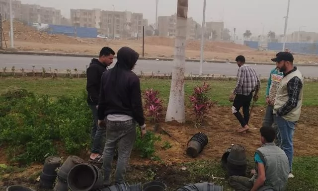 رئيس جهاز الشروق يكشف عن أحدث أعمال الزراعة والتجميل بالمدينة.. ص
