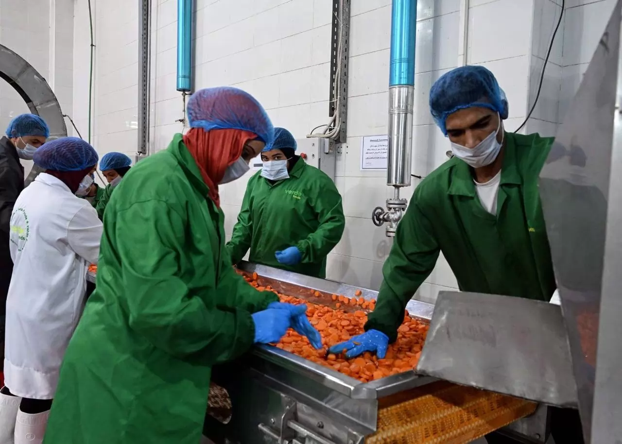 وزير الاستثمار يتفقد مصنع فيردي فودز للصناعات الغذائية 