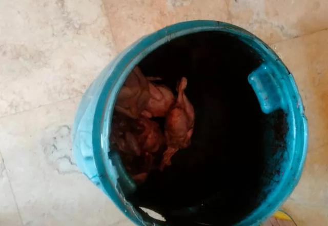 جهاز بدر وهيئة سلامة الغذاء يضبطان 66 كيلو لحوم و أغذية فاسدة.. ب