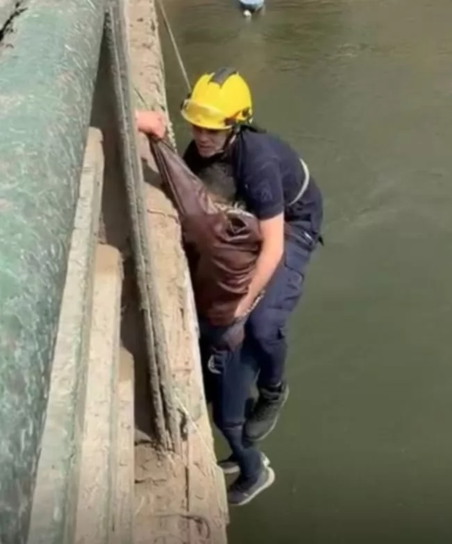 الداخلية تكشف ملابسات واقعة انتحار سائق 