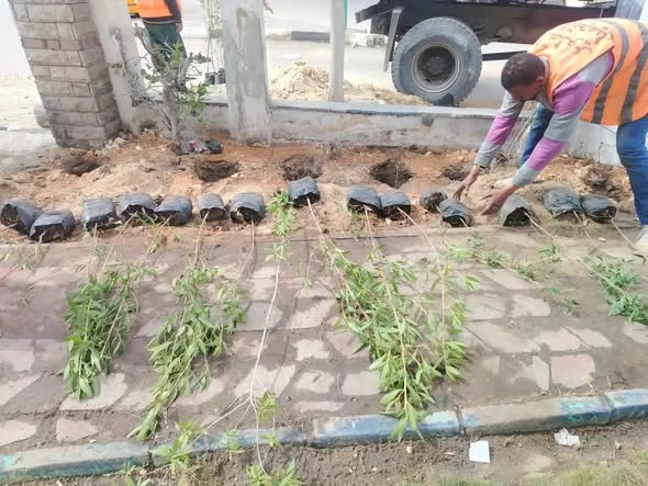 تطوير حديقة الطائف ..متنفس جديد لأهالي الإسماعيلية