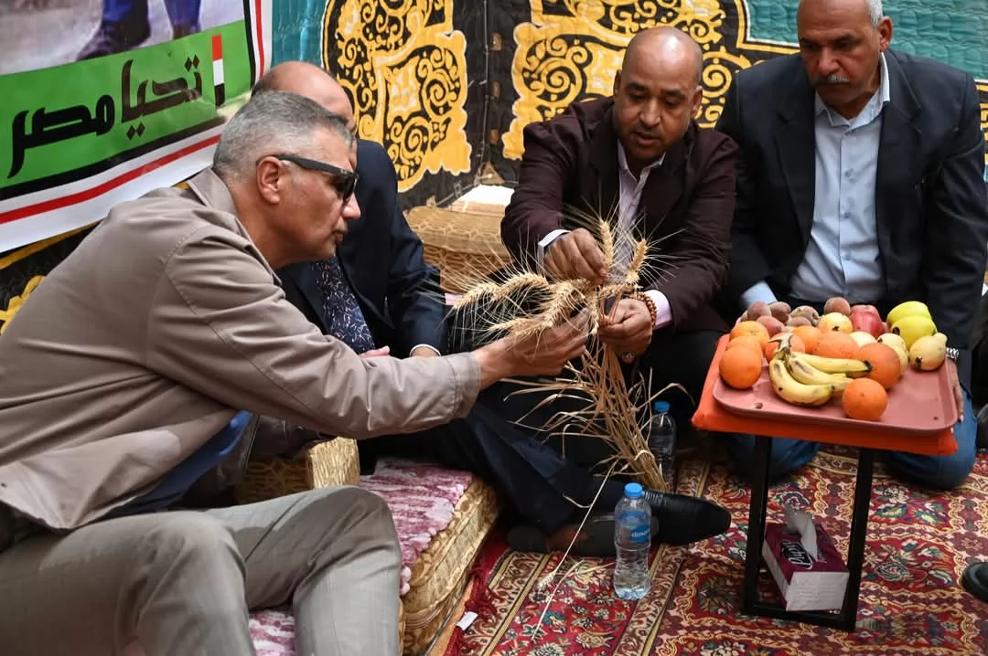 محافظ جنوب سيناء يشهد انطلاق موسم حصاد القمح في الطور..صور
