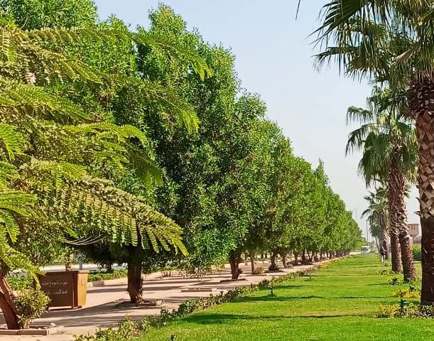 رئيس جهاز سوهاج الجديدة يعلن عن أهم أعمال الزراعة والتجميل.. بالص