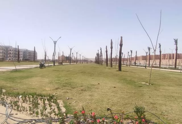 رئيس جهاز سوهاج الجديدة يعلن عن أهم أعمال الزراعة والتجميل.. بالص