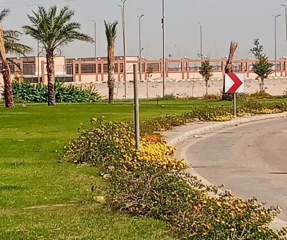 رئيس جهاز سوهاج الجديدة يعلن عن أهم أعمال الزراعة والتجميل.. بالص