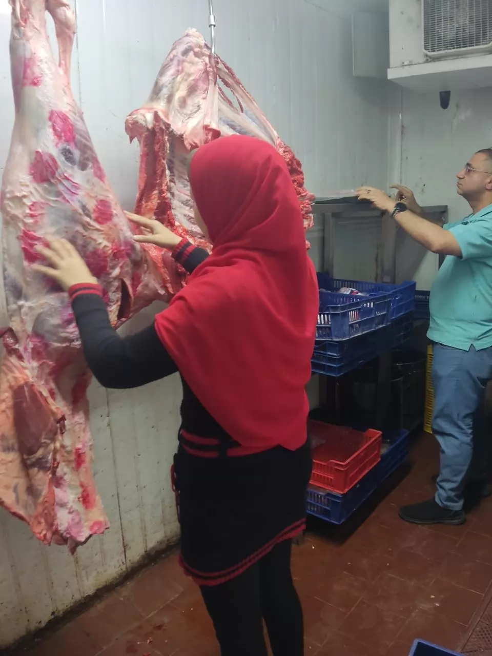 تحرير 195 مخالفة وضبط دقيق مدعم قبل تهريبه خلال حملات بالمنيا