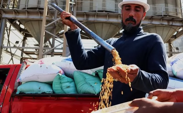 محافظ الإسماعيلية يتفقد المنطقة الصناعية ..صور