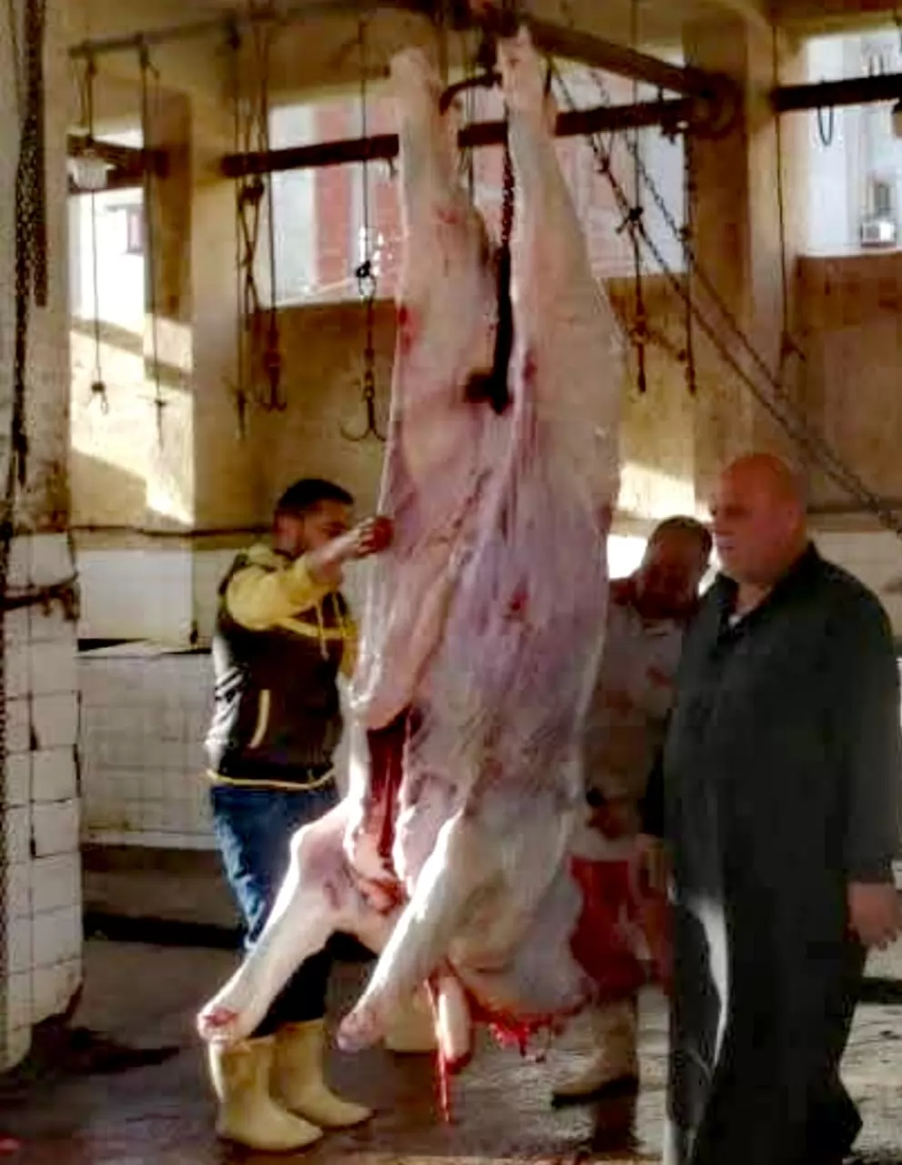 ضبط 277 كيلو لحوم ومنتجات غذائية خلال حملات رقابية بالمنيا