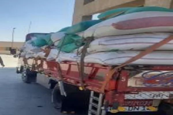 توريد 28 ألف طن قمح لمواقع التخزين والصوامع بالدقهلية 