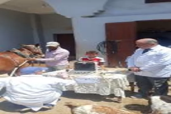 علاج 7141 رأس ماشية ضمن خطة استراتيجية لتنمية الثروة الحيوانية 