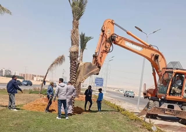 رئيس جهاز الشروق يكشف عن زراعة أغلى أنواع النخيل و20 ألف زهرة.. ف