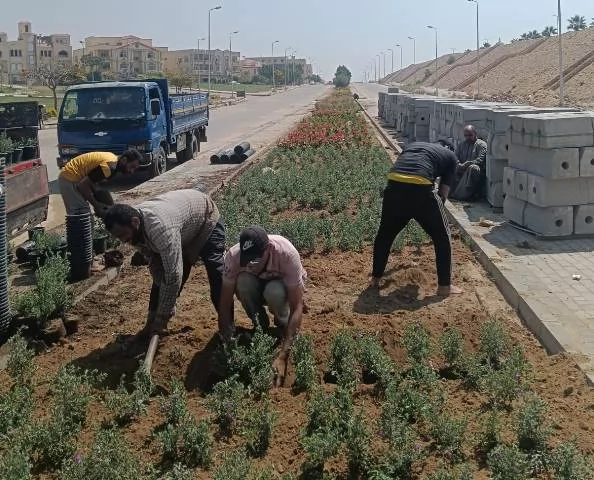 رئيس جهاز الشروق يكشف عن زراعة أغلى أنواع النخيل و20 ألف زهرة.. ف