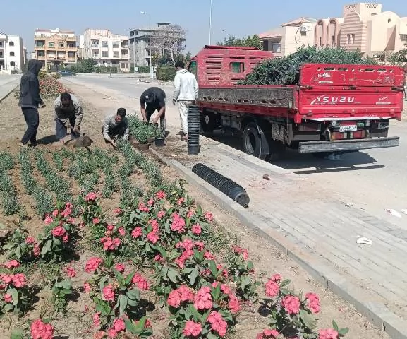 رئيس جهاز الشروق يكشف عن زراعة أغلى أنواع النخيل و20 ألف زهرة.. ف