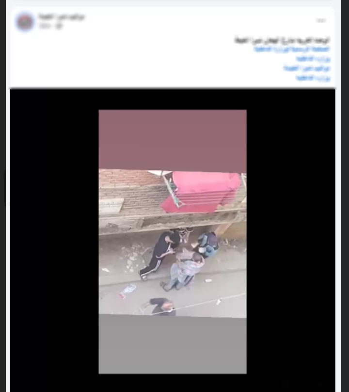 أمن القليوبية يضبط 