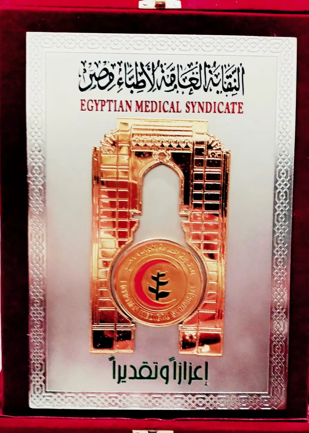 رئيس جامعة مدينة السادات يُتوَّج بلقب «الطبيب المثالي»