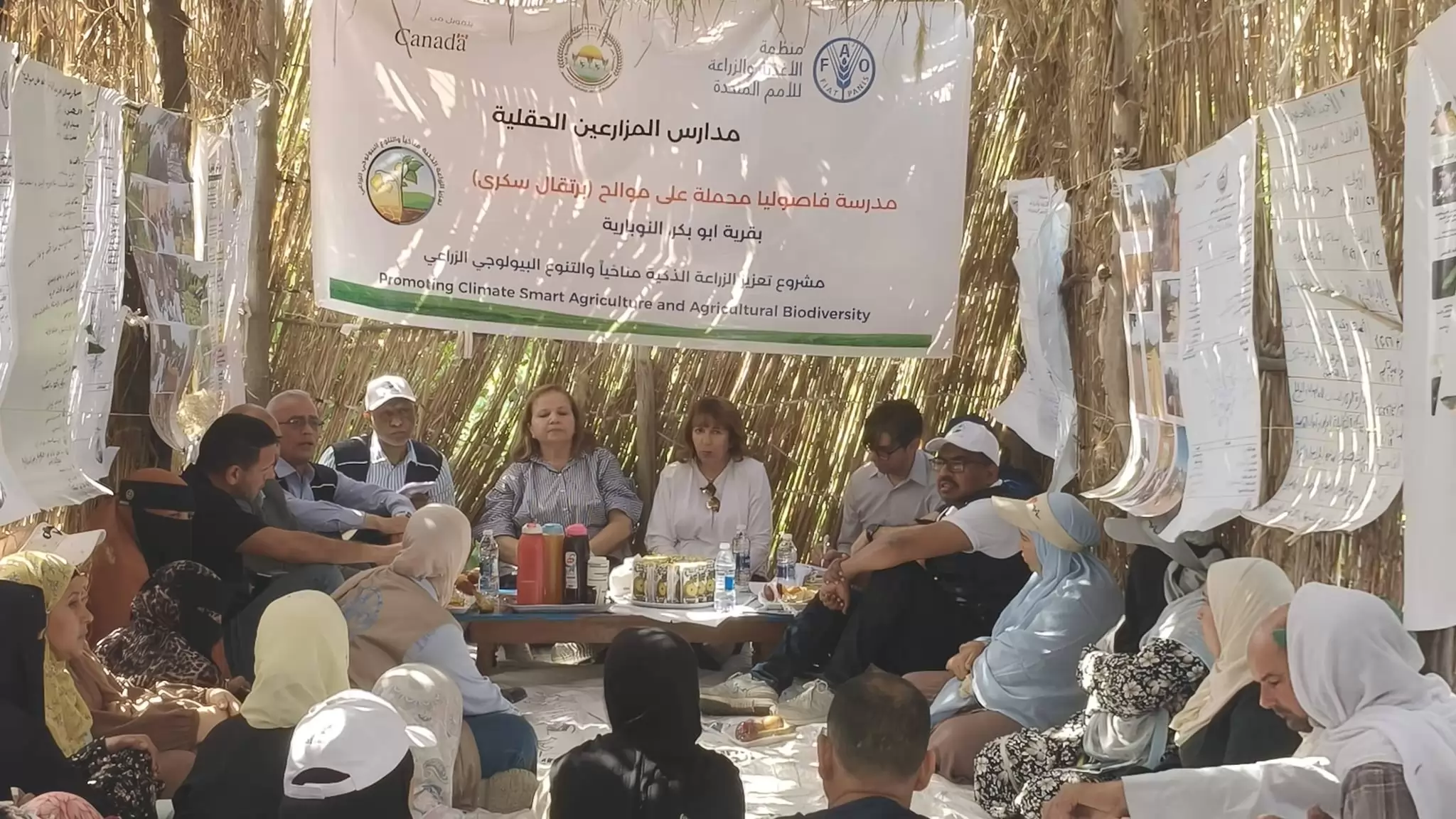 زراعة البحيرة تتابع مشروع 