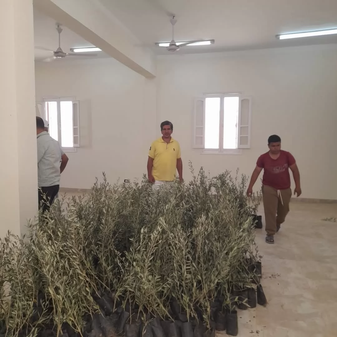  محافظ جنوب سيناء يستجيب سريعًا لمتضرري تجمع النهايات برأس سدر 