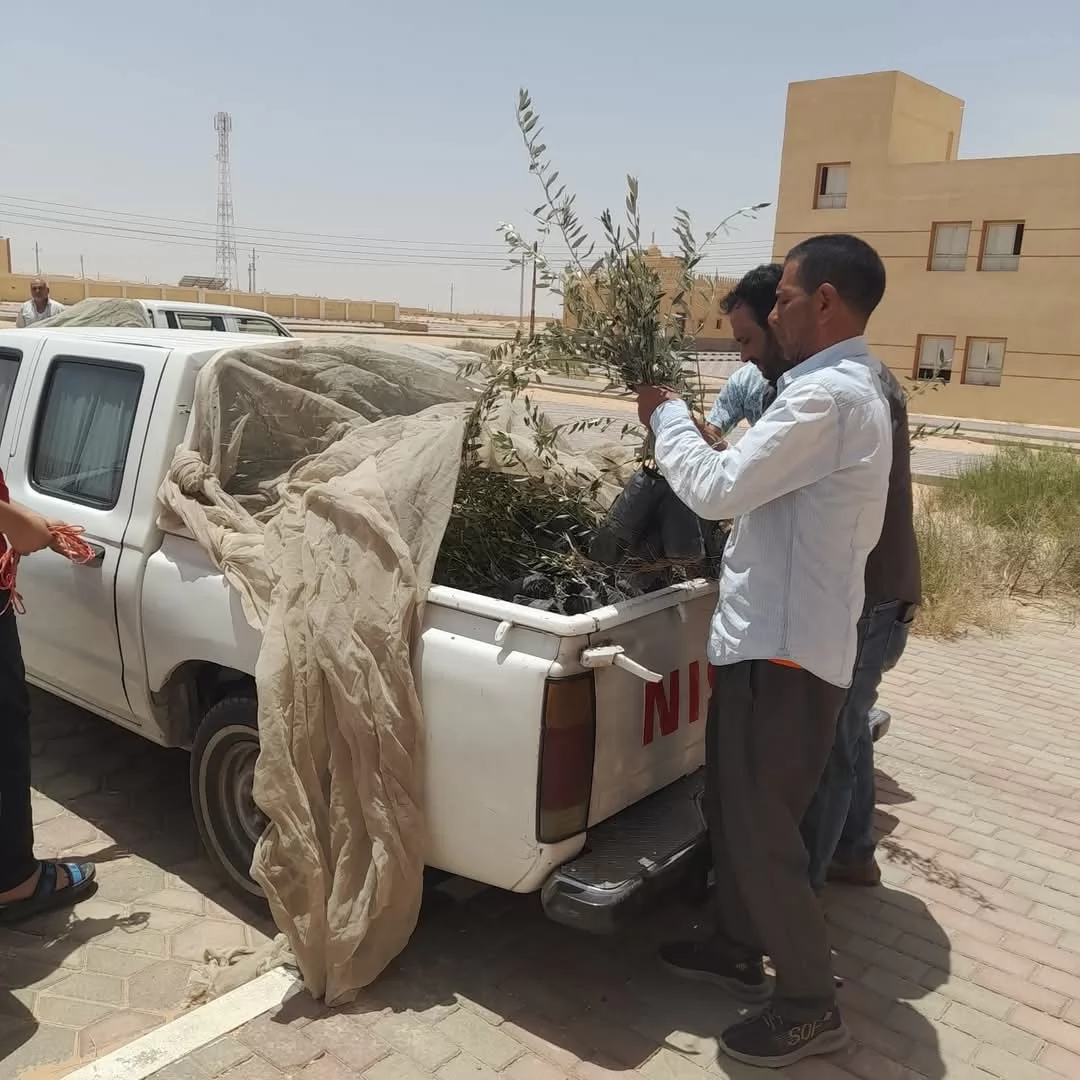 محافظ جنوب سيناء يستجيب سريعًا لمتضرري تجمع النهايات برأس سدر 
