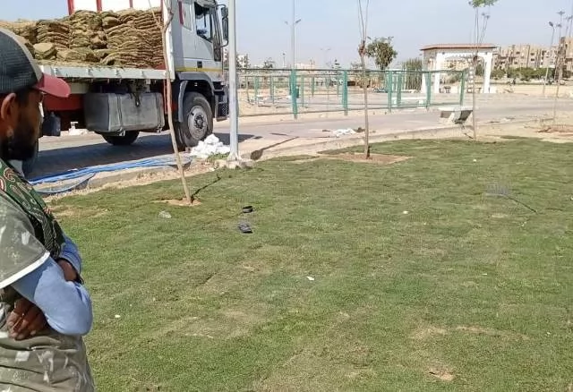 زكريا: جهاز الشروق يزرع 6000 شجرة ونخلة وزهور متنوعة بالمدينة.. ف