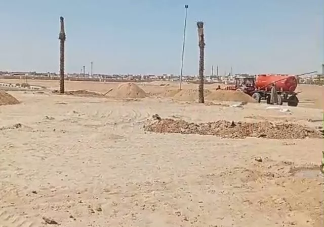 زكريا: جهاز الشروق يزرع 6000 شجرة ونخلة وزهور متنوعة بالمدينة.. ف