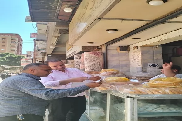  حملة مكبرة بمدينة مغاغة تسفر عن إصدار 14 ترخيصًا وغلق 3 محال 