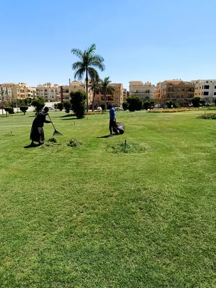 طفرة جديدة في المسطحات الخضراء بالقاهرة الجديدة