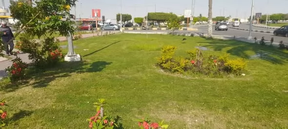 ميادين الإسماعيلية تتجمل في عيد الأضحى المبارك..صور