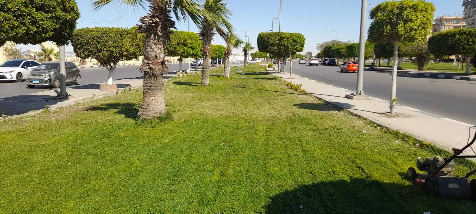 ميادين الإسماعيلية تتجمل في عيد الأضحى المبارك..صور