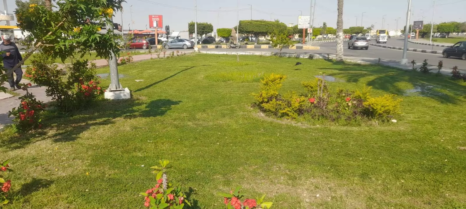 ميادين الإسماعيلية تتجمل في عيد الأضحى المبارك..صور