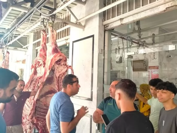 حملات توعوية لمنع الذبح خارج مجازر الإسماعيلية..صور
