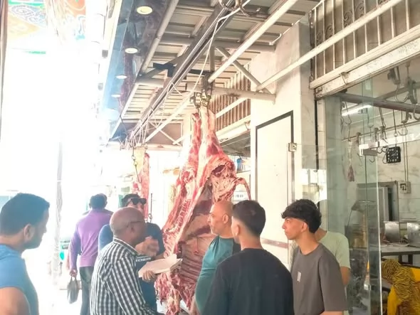 حملات توعوية لمنع الذبح خارج مجازر الإسماعيلية..صور